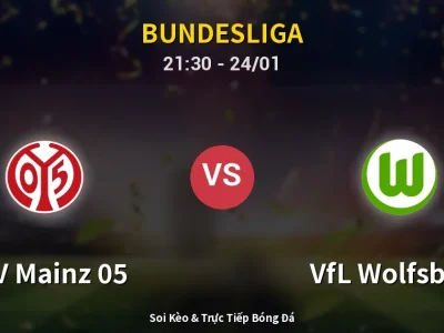 Soi Kèo FSV Mainz 05 vs VfL Wolfsburg – 21:30 24/01 | Nhận Định, Dự Đoán Tỷ Số