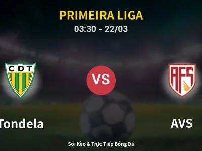 Kết Quả: Tondela 0-0 AVS – Highlight & Bàn Thắng | Primeira Liga