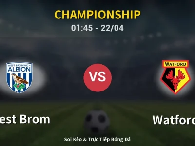 Kết Quả: West Brom 3-0 Watford – Highlight & Bàn Thắng | Championship
