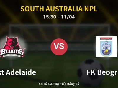 Soi Kèo West Adelaide vs FK Beograd – 15:30 11/04 | Nhận Định, Dự Đoán Tỷ Số
