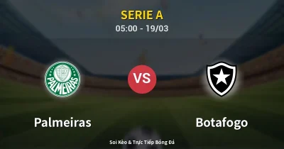 Palmeiras vs Botafogo 19/03